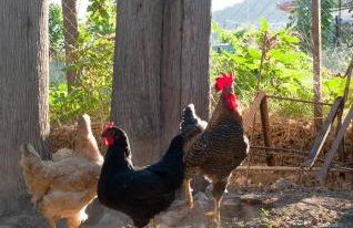 Studios Kyparissi & Spa - Photo 53