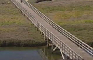 APTOS SOLAINA O PINDO - Foto 66