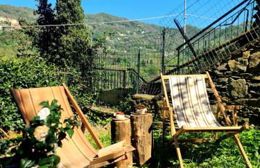 La Volpe e la Rosa - Foto 20