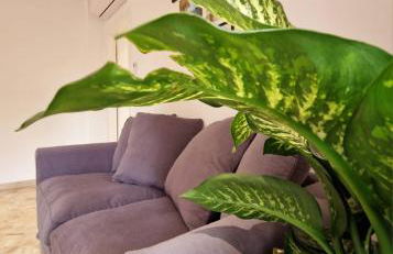 Casetta Dante - Photo 7