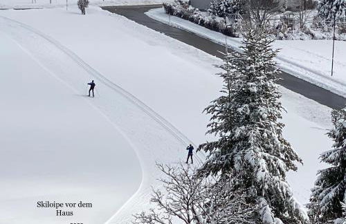 2- Raum - Ferienappartements 58 qm Dieter Hoffmann Freudenstadt-Kniebis beim Nationalpark - Foto 23
