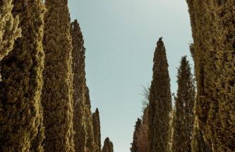 Casa Cavi Istria - Foto 37