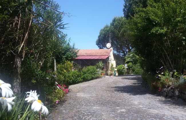 Serrado de Bouças - Foto 64