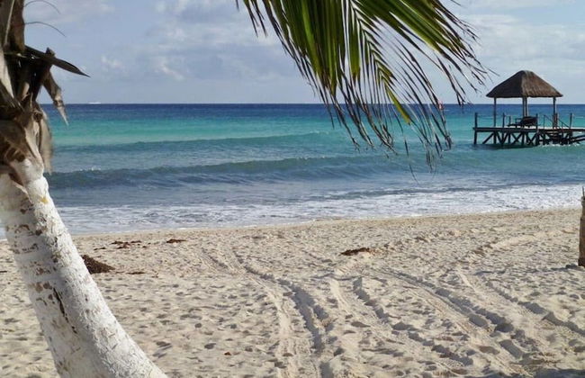 Awah by CocoBR - Foto 34