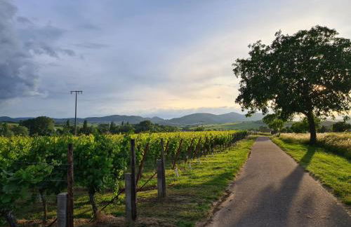 Ferienwohnung Appartement Bad Bergzabern mit Schwimmbad und Sauna - Foto 18