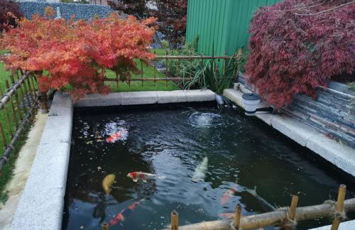 Haus Laila - Foto 26