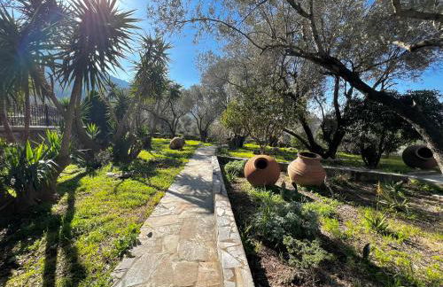 Presidential Sea View - Photo 57