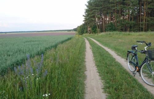 Holiday Home Dario by Interhome - Foto 29