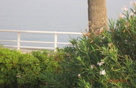 Ambra di mare - Foto 47