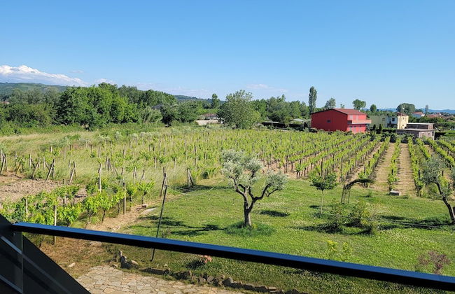 Lahuta e Vjetër Agroturizëm - Foto 56