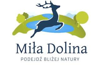 Miła Dolina - Foto 38