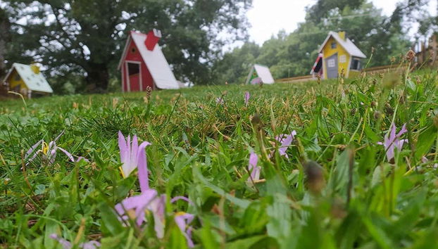 Tour in Velilla del Río Carrión - Photo 4