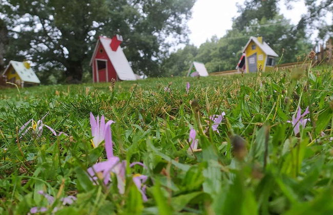 Entrada para la Ruta del Ratoncito Pérez - Foto 4