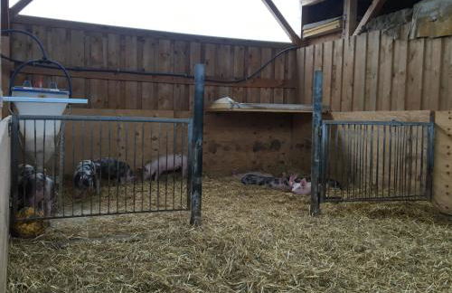 Ferienwohnung auf dem Bauernhof - Foto 27