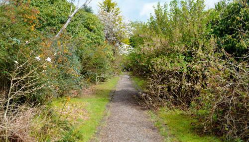 Gardener's Cottage - Foto 5, Garden