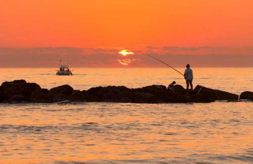 OLIVA HOLIDAYS 1 - Photo 23