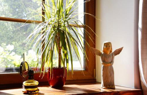 Rybaczówka Łuknajno - Foto 43