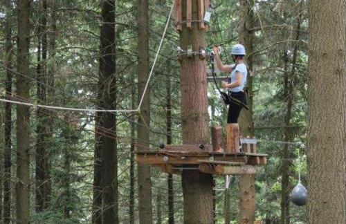 Ferienwohnung Rimbach - Foto 27
