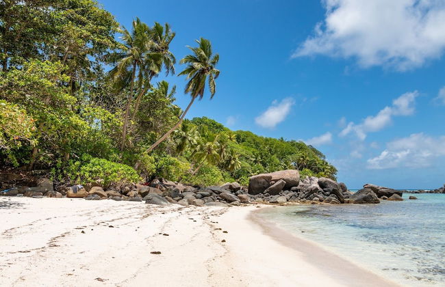 Blue Horizon Villas - Photo 34