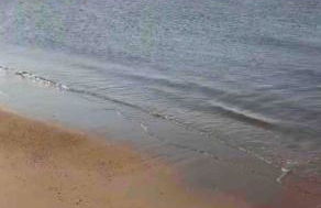 Jersey Shore Beach House close to NYC Ferry + Bus - Foto 42