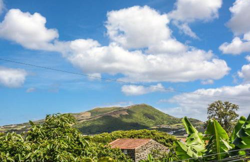 Quinta dos Frutos - Foto 56