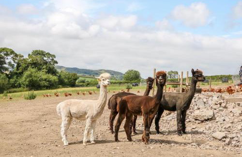 Glebe Farm Cottage - Foto 34