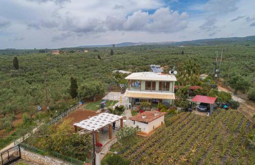 VILLA ALOLEA - Foto 27