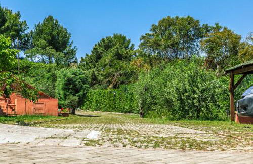 Le Terrazze Palinuro - Foto 60