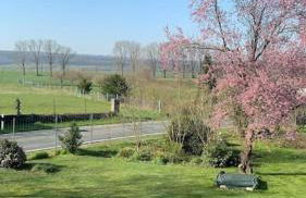 Idyllische Ferienwohnung auf altem Bauernhof mit Wallbox - Foto 16