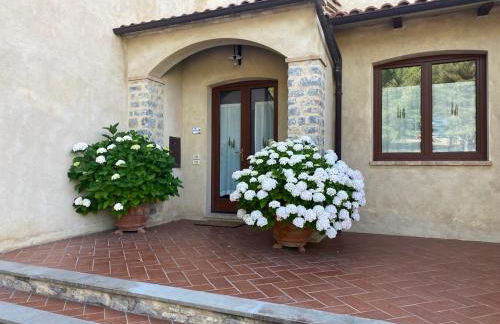 Vitabella Toscana - Foto 15