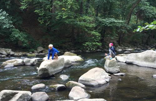 Harzer Feriengarten - Foto 72