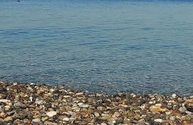 Lily's house near the beach - Photo 36