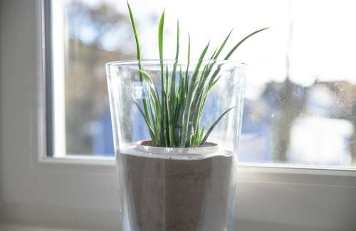 Strandnah, familienfreundlich, schön! Hoppetosse am Schönberger Strand - Foto 41