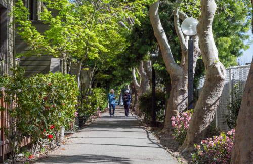 Palo Alto 1br w gym pool wd nr Stanford SFO-1260 - Foto 41