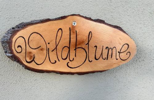 Ländliche Fewo Wildblume, 4 km zum Stausee - Foto 14