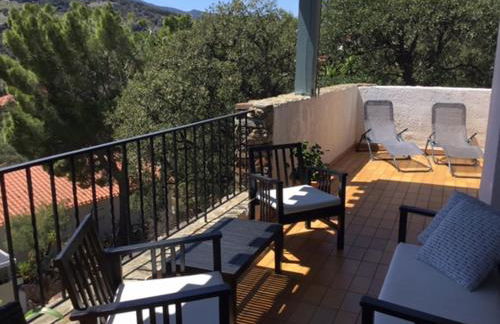 Les mimosas - Foto 5