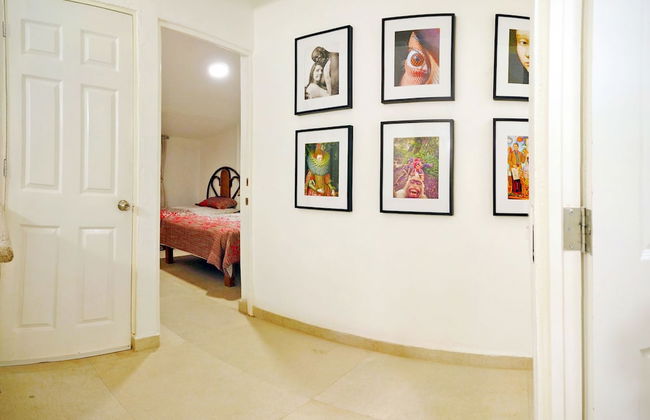 HominngBird - Foto 69