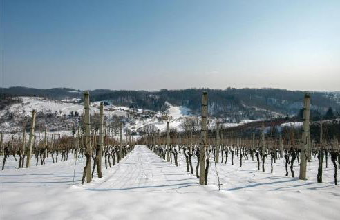 One-Bedroom Holiday Home In Hrnjanec - Foto 15