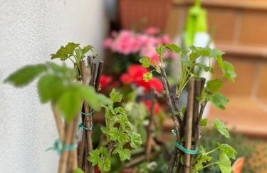 Casale Kintsugi - Foto 35