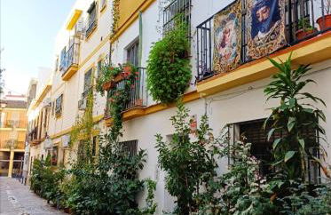 Apartamento Macarena, en el Centro de Sevilla, con AC - Foto 34