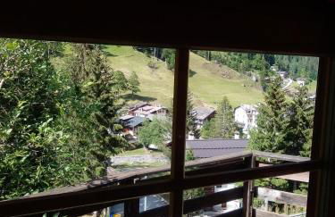 Il nido (Cica) - Foto 10