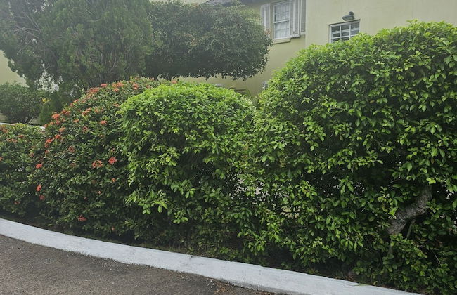 Apartment E6 - Foto 55