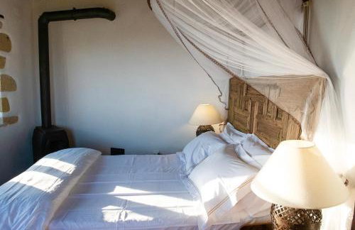 PositiveSpace Olive Tree - Foto 46