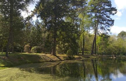 Gite meublé avec étang en lisière de forêt. - Photo 18