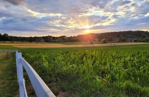 Domek na Pagórku - Foto 7