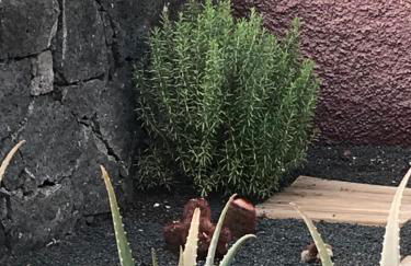 Casa Los Ajaches - Photo 57