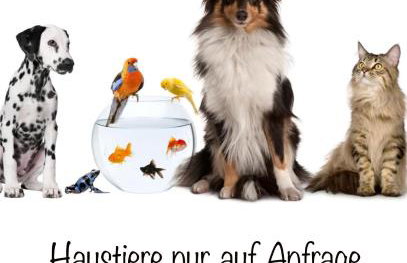 Ferienwohnung mit Charme - Foto 27