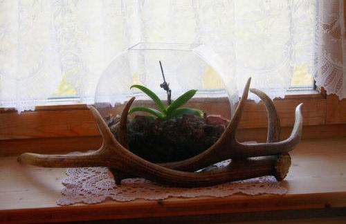 Ciasa Rü - Photo 25