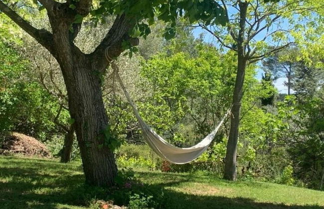 Farmhouse, With Large pvt Pool in Provence - Foto 36