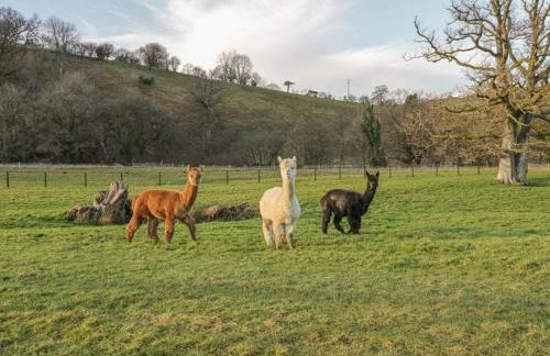 Deer Cabin-hot tub-dog friendly-mountain view - Foto 33